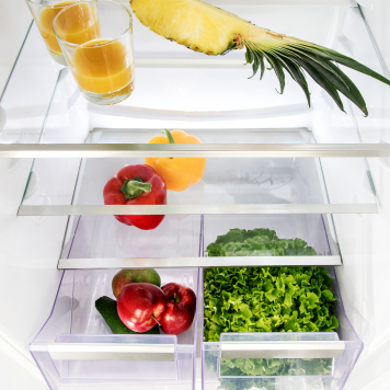electrolux-builds-the-worlds-first-bioplastic-concept-fridge-356x356