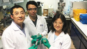 NUS engineers have found that a natural bacterium isolated from mushroom crop residue can contribute to greener and cheaper biofuel production. 
