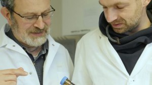 Prof. Dr. Andreas Teske (l.) und Dr. Helge-Ansgar Giebel mit einer Öl-Meerwasser-Probe des Deepwater-Horizon-Unfalls, aus der Tritonibacter isoliert wurde. Foto: Dr. Sibet Riexinger