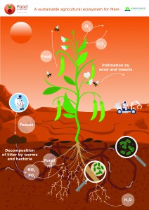 Sustainable agricultural ecosystem for Mars (Source: Wageningen University & Research)
