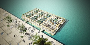 Offshore Floating Aquatic Farm - Credit-Smart Floating Farms