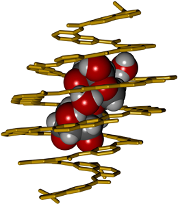  A foldamer receptor designed from first principles selectively binds to, and completely encapsulates a disaccharide. (© Ivan Huc) 
