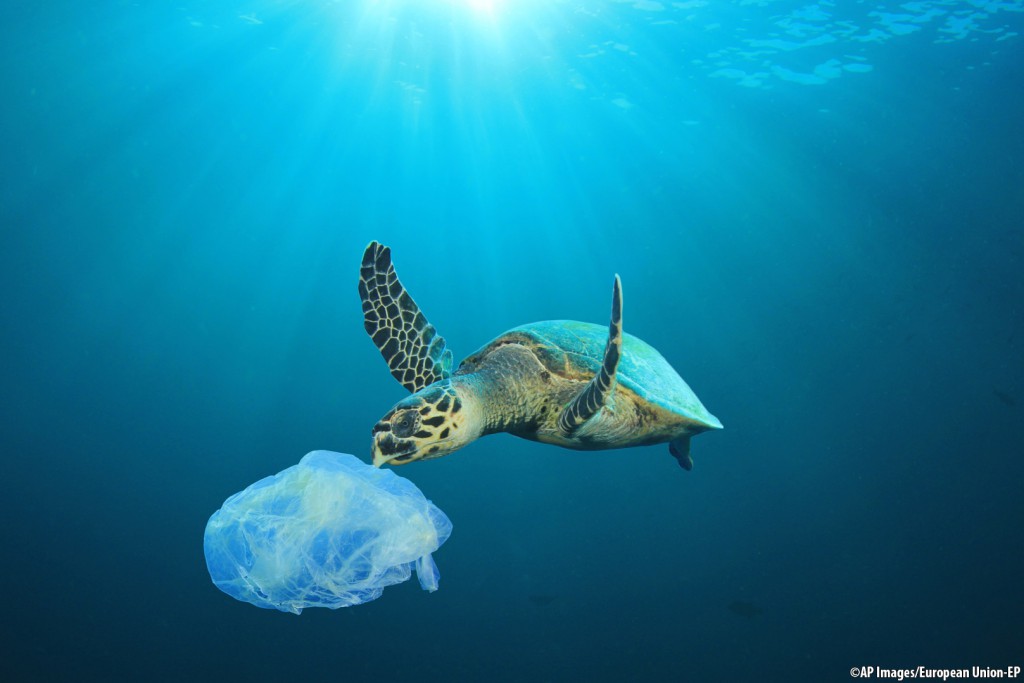 Plastic pollution in ocean problem. Sea Turtle eats plastic bag