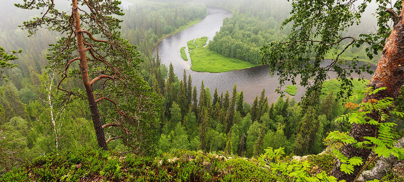 The Northern Forest Forum