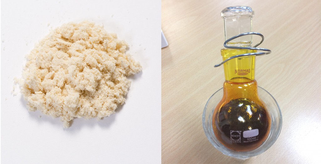 Polysaccharides_oils extracted from B braunii