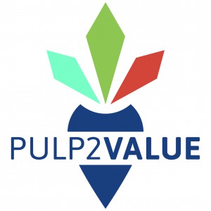 P2V_Logo_large