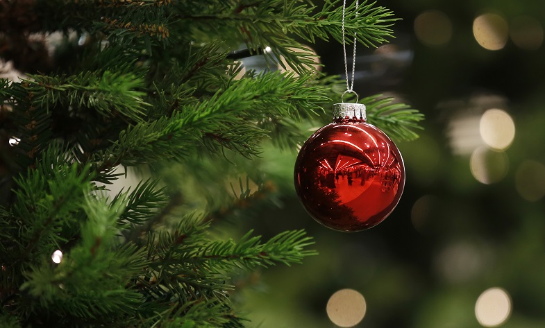 A Christmas bauble hangs from a tree