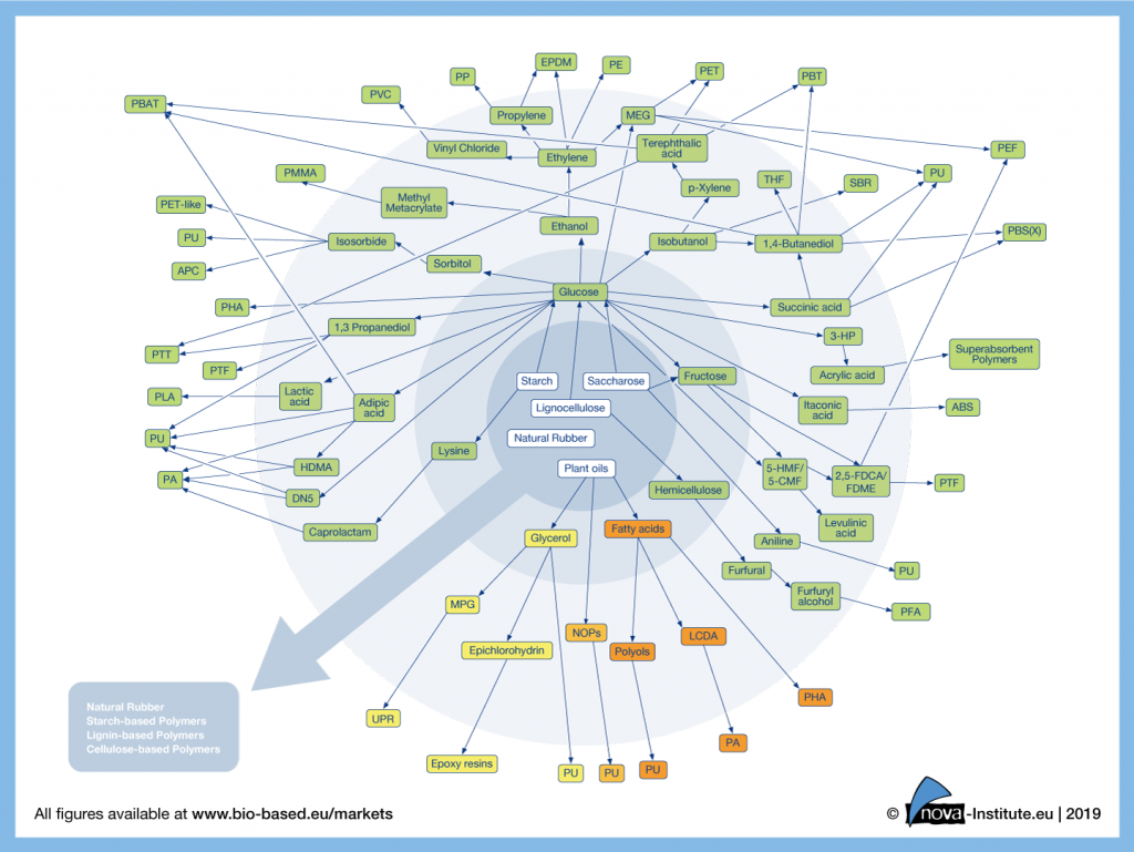 19-01-29-Figure-2_Pathways to bio-based polymers