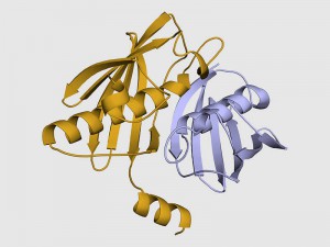 Structure of the ApeI-ApeP enzyme complex, which plays a key role in the assembly of bacterial arylpolyene pigments. (Image: M. Schmalhofer / TUM)