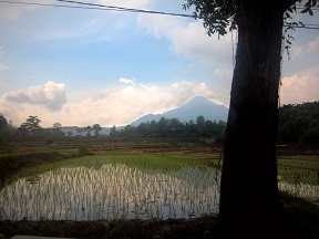 Beautiful_Landscape_in_Indonesia