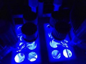 Bei der neuen Methode zur Synthese von Isochinuclidinen überträgt ein Photokatalysator Lichtenergie von blauen LEDs auf ein Substrat. © Jiajia Ma