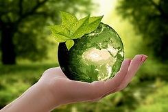 nature-earth-sustainability-leaf-royalty-free-thumbnail
