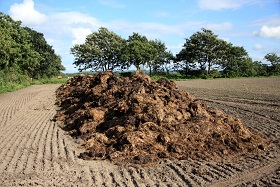 Pile_of_manure_on_a_field