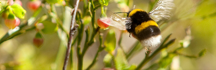 Bildschirmfoto 2020-06-05 um 14.21.29