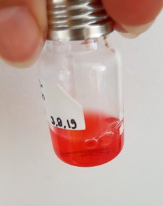 © Fraunhofer IGB In der auf die Elektrolyse folgenden Fermentation wird Ameisensäure zu einem wertschöpfenden terpenoiden Farbstoff umgesetzt.