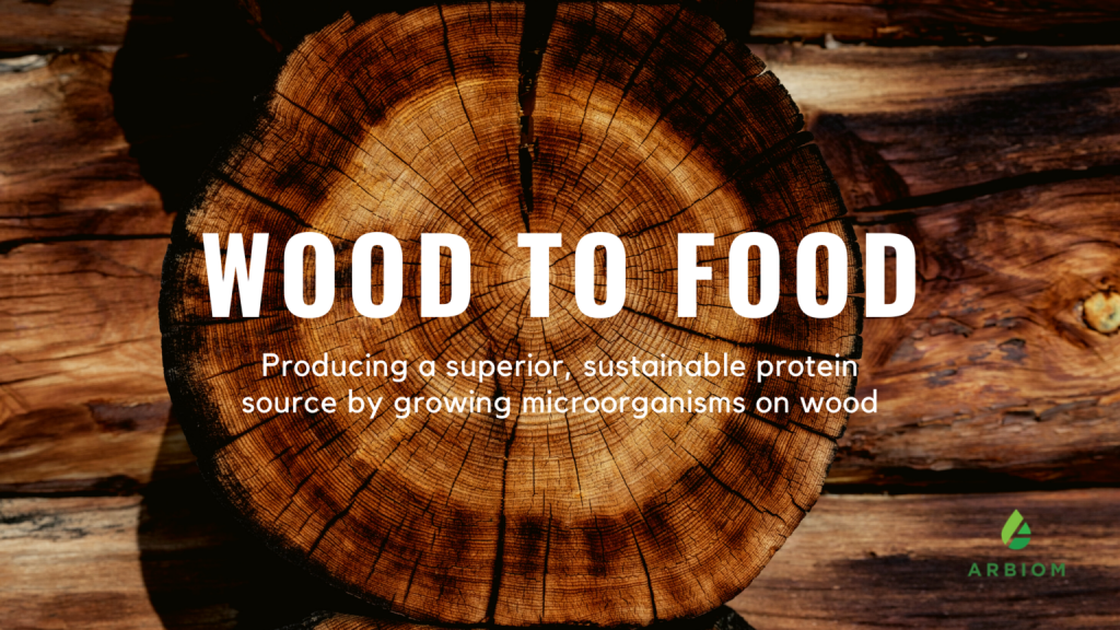 Copy-of-Wood-To-Food-1536x864