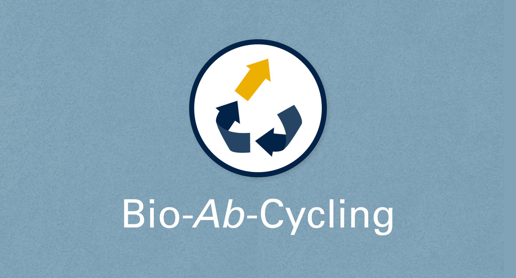 csm_Illustration-Bio-Ab-Cycling-UMBW-2434x1310_32ebb45dbf