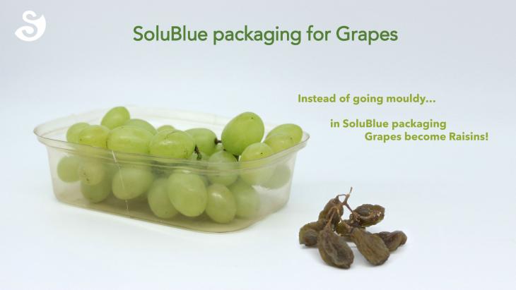 INFORMATION-SoluBlue-grapes-packaging-SoluBlue-2020-cd7a2036-6e4e3d30@730w