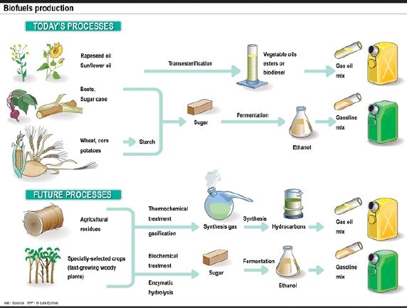 biofuels-production