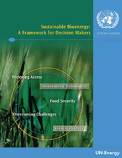 Titelseite UNO-Bericht Sustainable Bioenergy