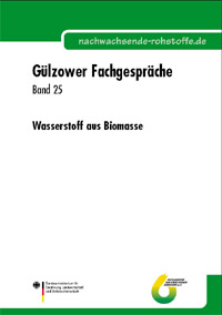 Buchcover: Wasserstoff aus Biomasse