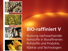Congress BIORaffiniert V<br />in Oberhausen on 24 -25 March, 2009<br />www.bio-raffiniert.de”></td>
</tr>
<tr>
<td style=