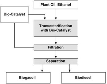 Der Fraunhofer-Prozess zur Herstellung von Biokraftstoff