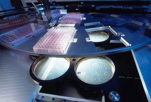 Pickroboter, wie er in der industriellen Biotechnologie <br />verwendet wird. Bild: Fraunhofer IGB”></td>
</tr>
<tr>
<td style=