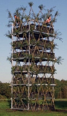 Sobald die lebende Struktur des Baubotanik-Turms <br />stabil genug ist, um die drei einwachsenden Ebenen <br />aus verzinktem Stahl zu tragen, wird das Gerüst <br />entfernt. Foto: Universität Stuttgart”></td>
</tr>
<tr>
<td style=