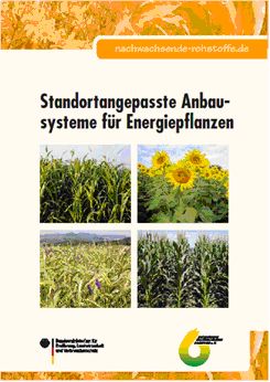 Standortangepasste Anbausysteme für Energiepflanzen <br />(3. Auflage, FNR 2010, ISBN 978-3-942147-02-6,<br />FNR-Bestellnummer: 335)”></td>
</tr>
<tr>
<td style=