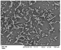 ARBOCEL UFC 100 ist weltweit die feinste <br />auf dem Markt erhältliche Cellulosefaser. Die <br />Faserlänge beträgt ca. 8 µm. (© JRS)”></td>
</tr>
<tr>
<td style=