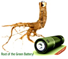 Madder root (Rubia sp.), green battery, and purpurin (Credit: John/Vijai)