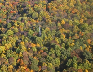 Flugaufnahme vom Morgan-Monroe State Forest in Indiana,<br />einem von sieben Messstandorten in den USA.<br />(Foto: Jennifer Hutton)”></td>
</tr>
<tr>
<td style=