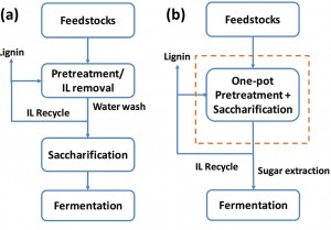 Conventional separate pretreatment and saccharification of biofuel <br /></noscript><img class=