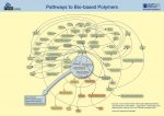 "Pathways to bio-based Polymers 2015"