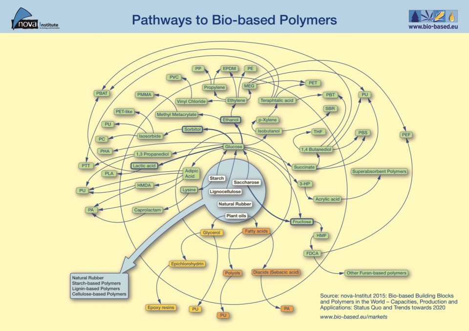 "Pathways to bio-based Polymers 2015"