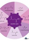 Levulinic acid – A versatile platform chemical for a variety of market applications
