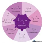 Levulinic acid – A versatile platform chemical for a variety of market applications