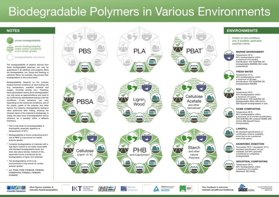 Biodegradable Polymers in Various Environments