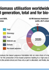 21 01 28 figure2 biomass utilisation worldwide–first and second generation total and for bio based polymers