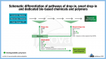 21 01 28 figure5 schematic differentiation of pathways for drop in smart drop in and dedicated bio based chemicals and polymers