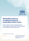 22 02 14 renewable carbon as a guiding principle for sustainable carbon cycles shop