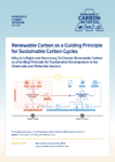renewable carbon as a guiding principle for sustainable carbon cycles (pdf)
