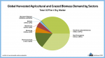 22 12 05 global harvested agricultural and grazed biomass demand by sectors thumbnail