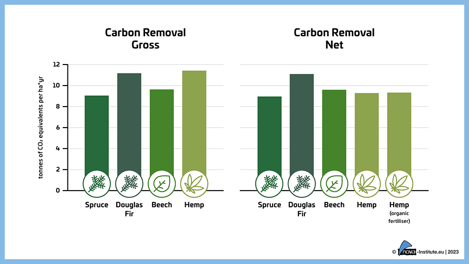 Gross and Net Carbon Removal of Hemp and Wood per Hectare and Year - Thumbnail