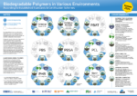 biodegradable polymers in various environments according to established standards and certification schemes – graphic (current version)