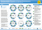 biodegradable polymers in various environments according to established standards and certification schemes – graphic (png, en, current version)