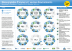 biodegradable polymers in various environments according to established standards and certification schemes – graphic (pdf, current version)