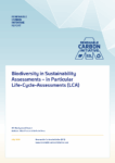 policy barriers for renewable carbon uptake – rci report (pdf) (copy)